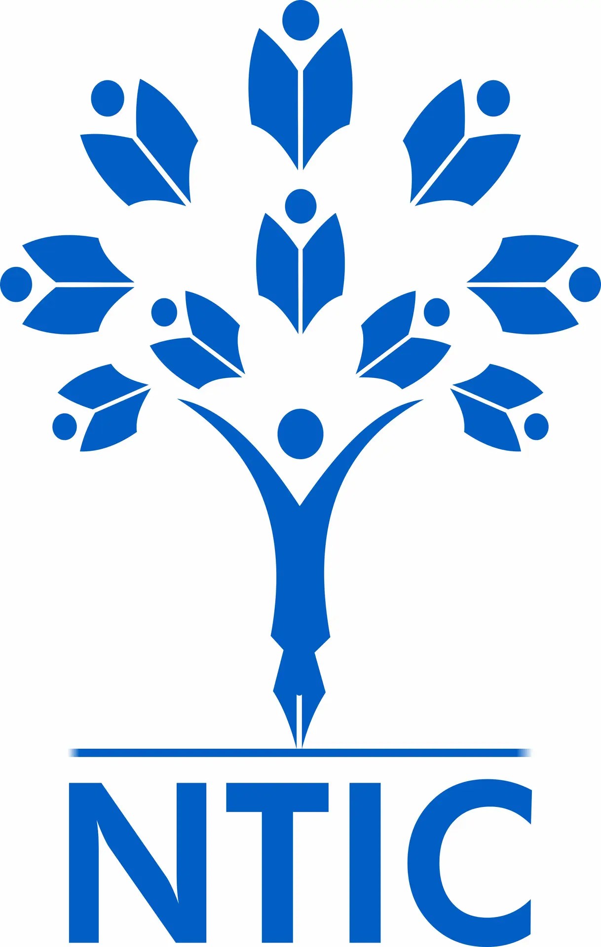 Nigerian Turkish International College